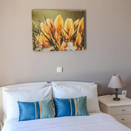 Orion Star Aparthotel 3*